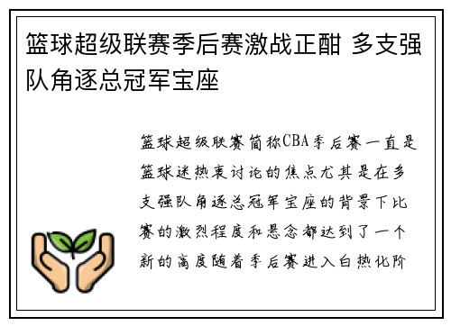 篮球超级联赛季后赛激战正酣 多支强队角逐总冠军宝座